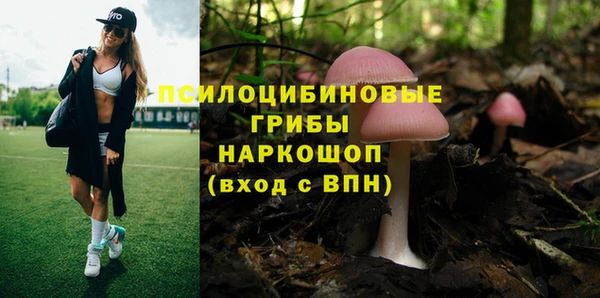 mdpv Алексеевка