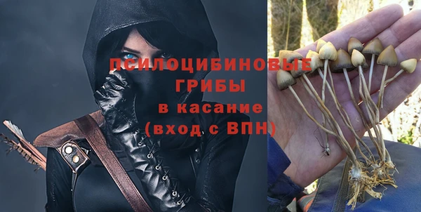 молекула духа Снежинск
